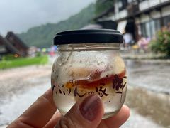 -白川乡与五箇山的合掌构造村落