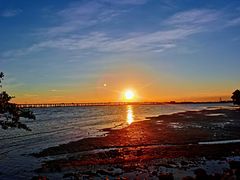 -宝安西湾红树林湿地公园