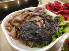 涮毛肚-朱氏胖子烂火锅(洪崖洞店)