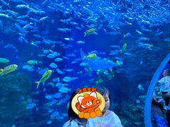 -海合安成都极地海洋公园