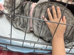 -北京华联购物中心(天通苑店)