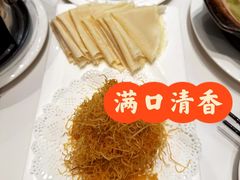 -丁老爷子苏香圆