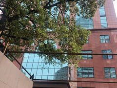 -新虹桥中心大厦