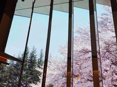 -桂满陇·海市蜃楼·黑金(国金店)