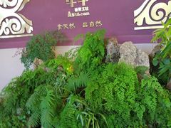 -阿斯牛牛十二餐厅•四季餐厅(民族大道店)