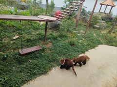 -杭州野生动物世界