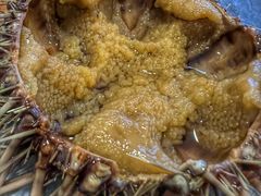 -海胆小馆(东北水饺·春柳店)