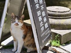 -绩溪龙川景区