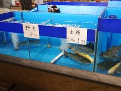 水产区-吕宋海鲜楼