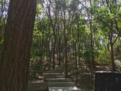 -南翠屏公园
