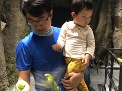 -zoonana室内动物园(东方福来德店)