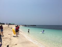 -莲洞本家