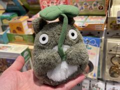 -猫的天空之城概念书店(苏州平江店)