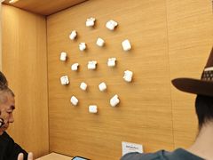 -Apple 零售店(Canton Road)