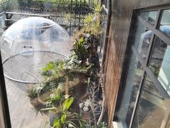 -昆山城市生态森林公园