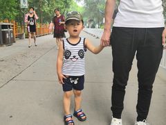 -白洋淀景区