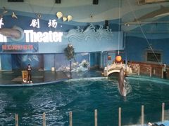 -苏州海洋馆