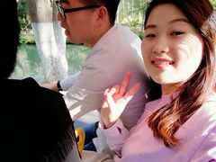 -合肥滨湖国家森林公园