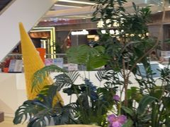 -野人先生Gelato(上海长宁龙之梦店)