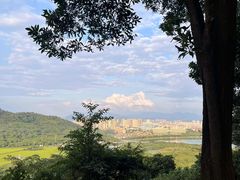 -风云岭森林公园