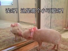 -素满香·素食自助餐厅(韩乐坊店)