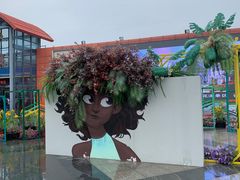 -荷兰花海