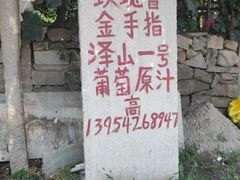 -大泽山风景名胜区