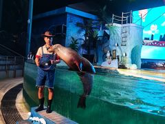 -三亚海昌梦幻海洋不夜城