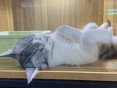 -大学城夜市大排档(凤栖路店)