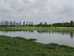 -洋湖国家湿地公园