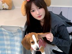 -汪说·狗咖·拼豆·宠物周边DIY(旺城大厦店)