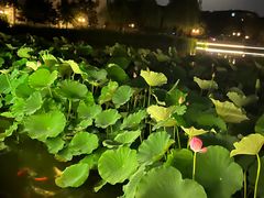 -西海子公园