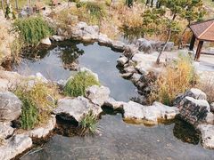 -郑州植物园
