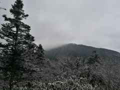 -黄龙山原始森林景区