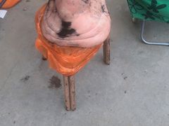 -华盛园卷子王农家菜水库鱼