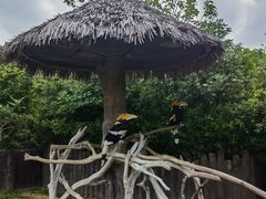 -上海野生动物园
