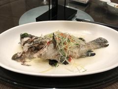 -西安高新洲际酒店•彩丰楼中餐厅