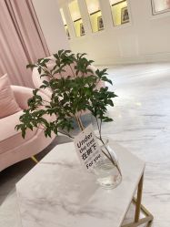 点击看大图 -UP&UP·半永久眉毛眼线机器野生眉