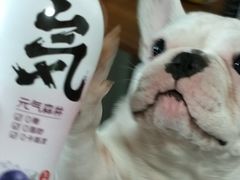 -潘老板炸鸡(君临紫金商业街店)