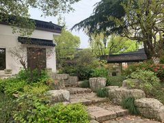 -长田漾湿地公园