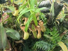 -国家植物园南园