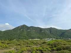 -大澳