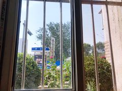 -真素诚(玉泉路总店)