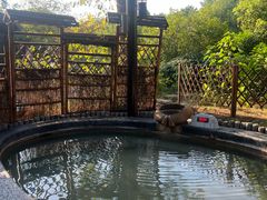-扬州瘦西湖温泉