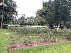 -人民公园(罗湖区)