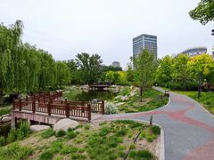 -莲花池公园