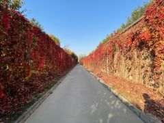 -春晖园度假酒店温泉