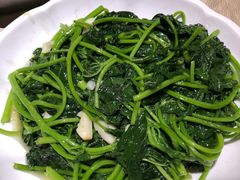-张记旺角食街(动物园店)