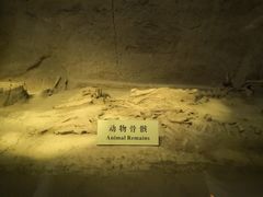 -汉景帝阳陵博物院