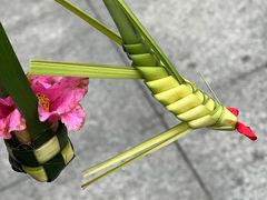 -南山植物园